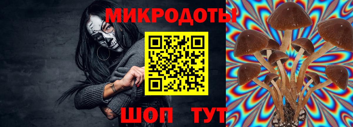 Галлюциногенные грибы мухоморы Люберцы