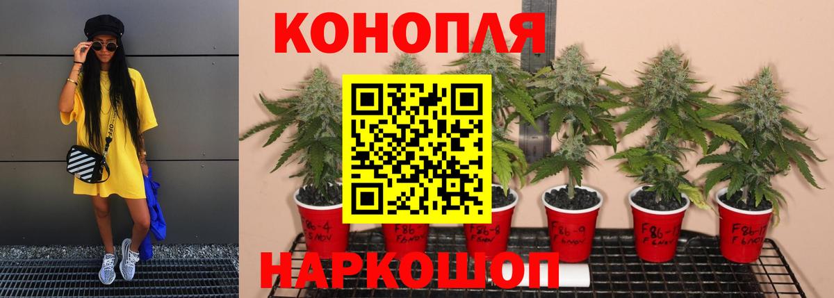 Шишки марихуана семена Люберцы
